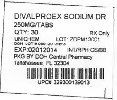 Label Image For 250mg (250mg Unichem)